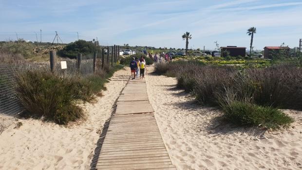 Los isleños reclaman mejoras de accesibilidad en la playa Camposoto