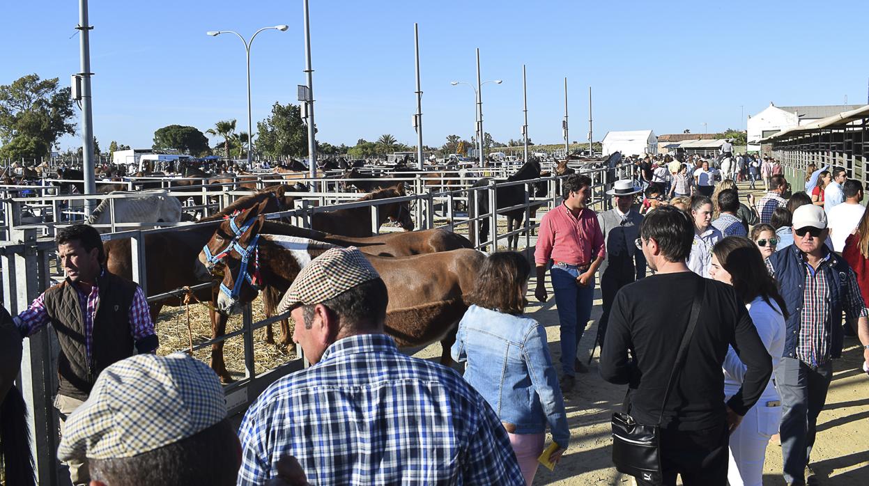 La XXVI edición de la Feria Agroganadera queda suspendida