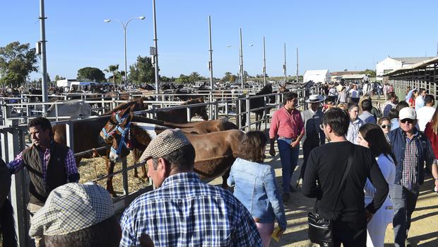 El Coronavirus también provoca la suspensión de la Feria Agroganadera de Los Palacios y Villafranca