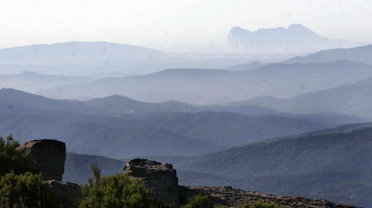 Vista panorámica del parque natutal de los Alcornocales, una zona de gran riqueza ecológica y ambiental de la provincia de Cádiz.