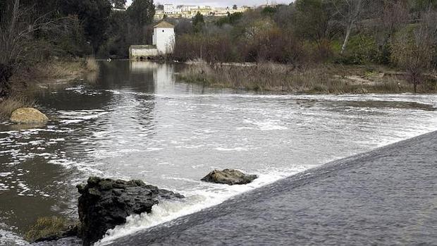 Dos jóvenes sorprendidos pescando en el río Guadaíra en pleno estado de alarma