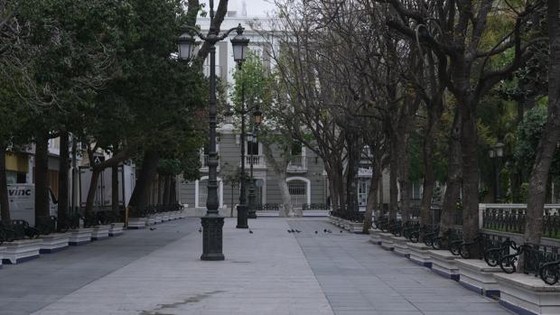 El PSOE de Cádiz pide un plan urgente para después del Estado de Alarma