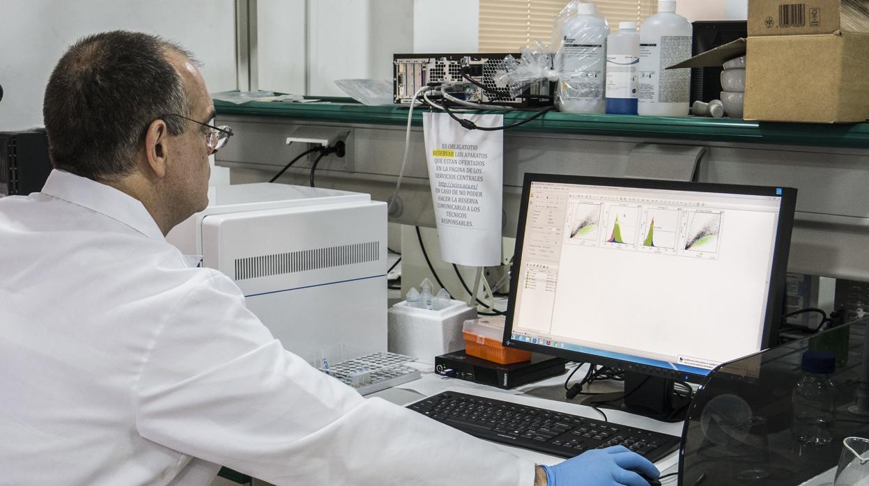 Los científicos gaditanos están investigando para la obtención de un test eficiente y rápido para detectar el coronavirus.