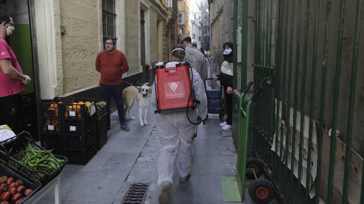 Labores de fumigación de Cádiz al inicio de la pandemia.