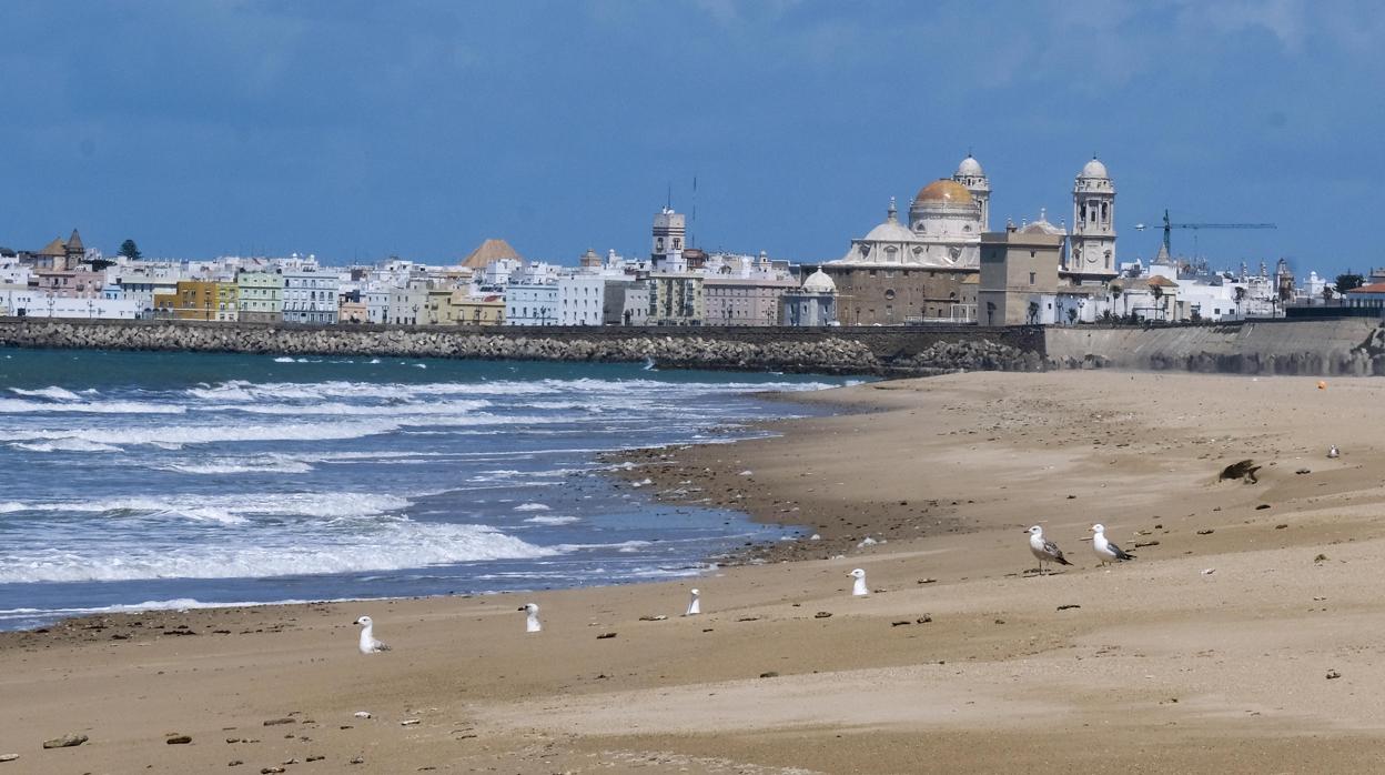 La playa de Cádiz, en estos días de soledad.