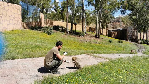 Los zoos de Sevilla alimentan a dos mil animales sin ingresos desde el comienzo de la crisis sanitaria