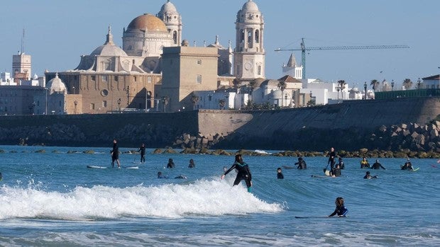 Desescalada en Cádiz: Todos los tipos de tonto