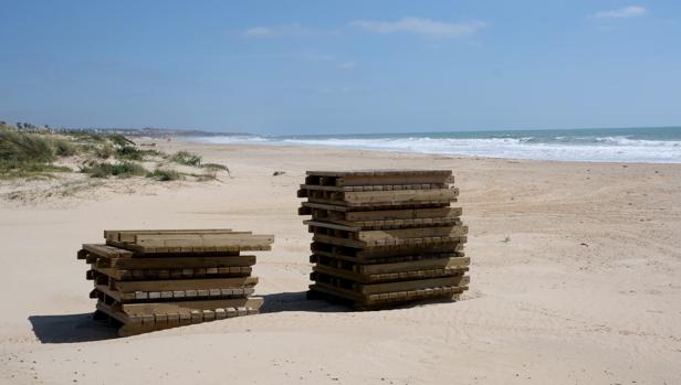 El plan de la Junta: abrir las playas en la provincia de Cádiz el 25 de mayo