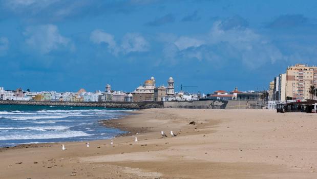 Playas de Cádiz en el verano de 2020: sin lavapiés ni duchas y con sombrillas en todo el ancho del arenal