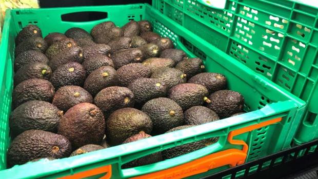 Mercadona compra 7.100 toneladas de aguacate andaluz para la campaña de este año