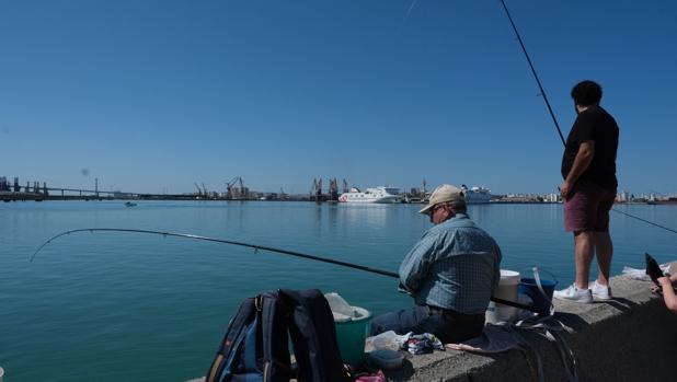 La provincia de Cádiz vuelve a disfrutar de la pesca recreativa