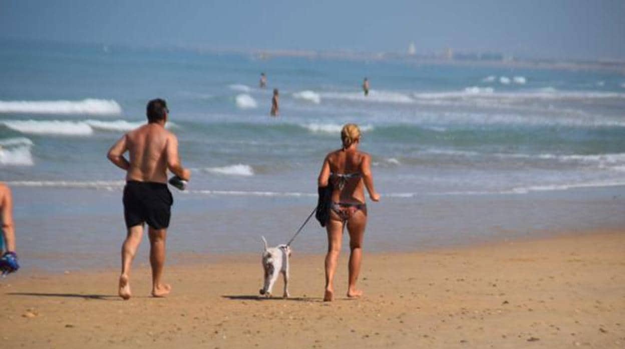 San Fernando permitirá el baño en la playa de Camposoto desde el lunes