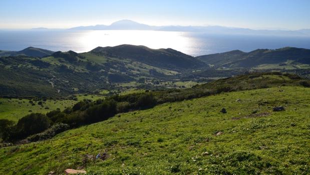 Ecologistas rechazan la instalación de una planta fotovoltaica en una «zona emblemática» del Estrecho