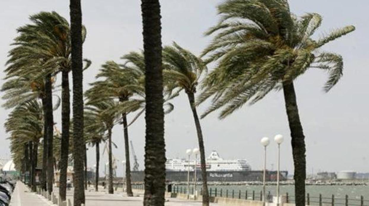 Cádiz entra en Fase 2 con aviso amarillo por fuerte oleaje y temporal de levante