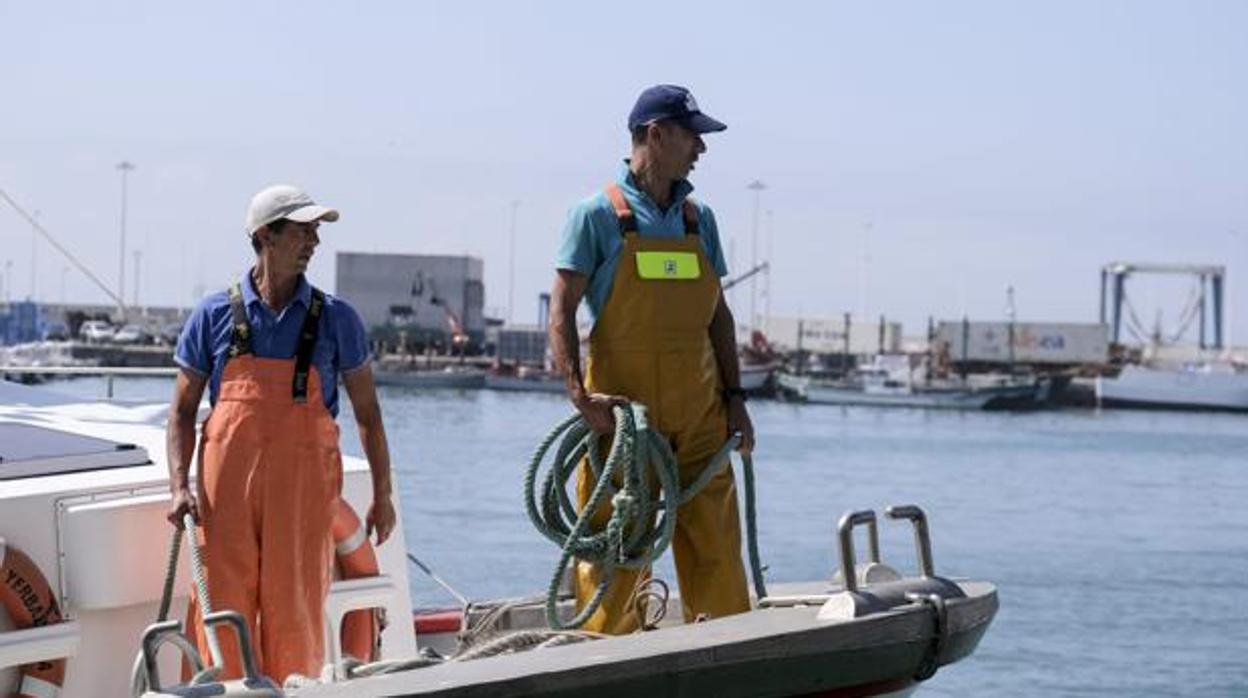 Marineros atracando en la lonja del puerto de Barbate.