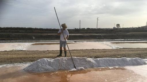 Salina de San Vicente, en San Fernando