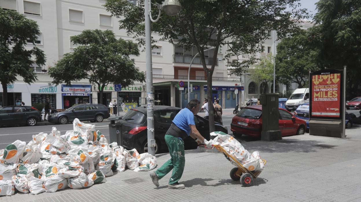 Los jóvenes empresarios de Cádiz, preocupados al reducirse a la mitad el empleo