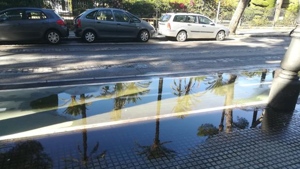 La Asamblea Ciclista se queja de deficiencias en el carril bici del casco antiguo de Cádiz