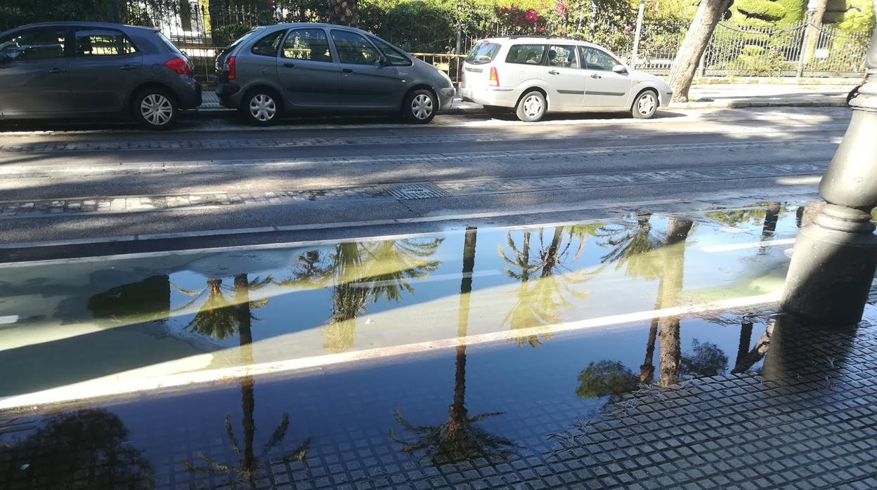 La avenida Gómez Ulla, frente la Parque Genovés, es uno de los tramos que motiva la queja de la Asamblea Ciclista.