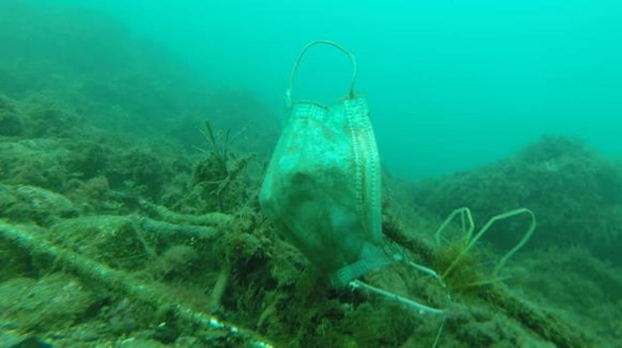 Pescadores gaditanos piden que no se arrojen al mar mascarillas y guantes usados