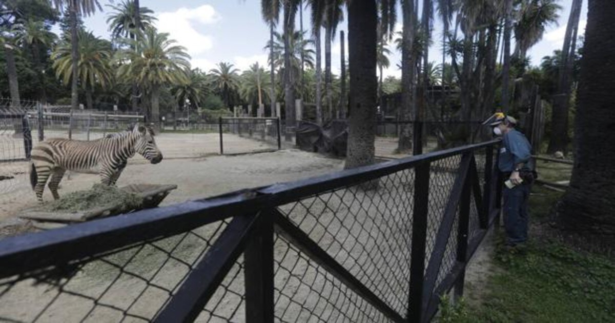 El zoo de Jerez vuelve a abrir sus puertas