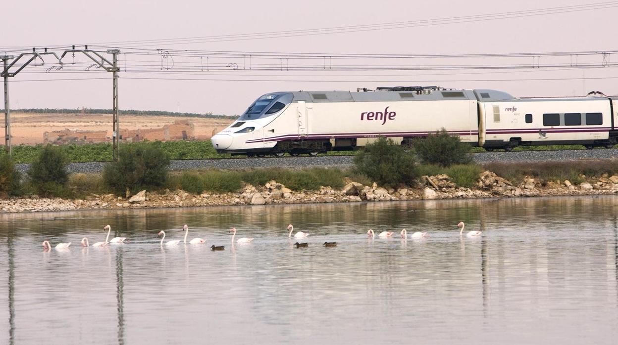 Tren Alvia que une Madrid y Cádiz