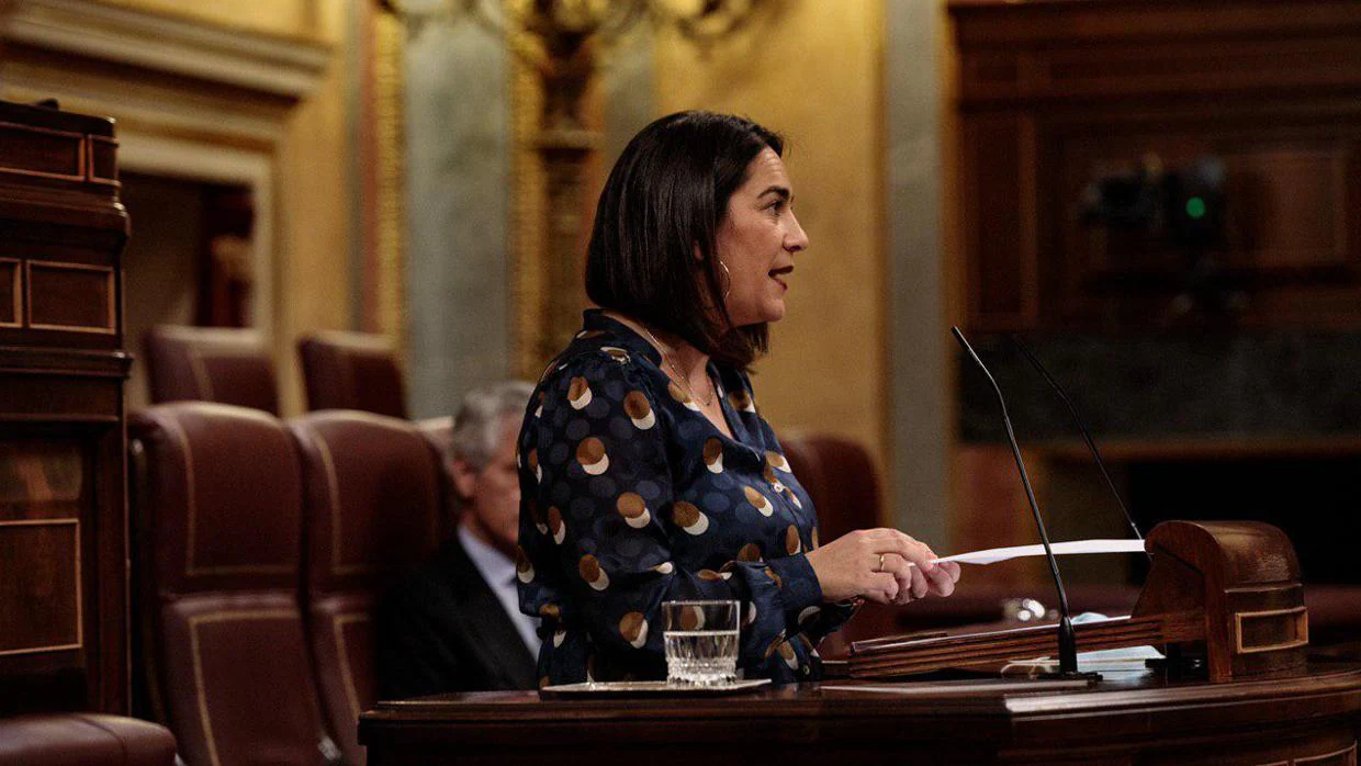 La diputada de Cs por Cádiz, María del Carmen Martínez, en una comparecencia en el Congreso.