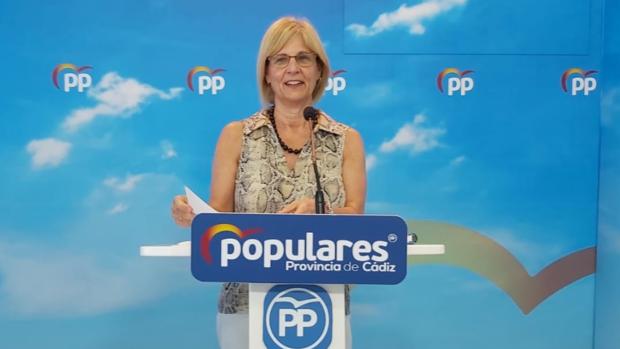 El PP pide al Gobierno que evite la desescalada industrial en la que ha entrado la provincia de Cádiz