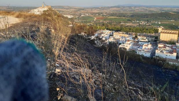 Incendio de pastos en Arcos