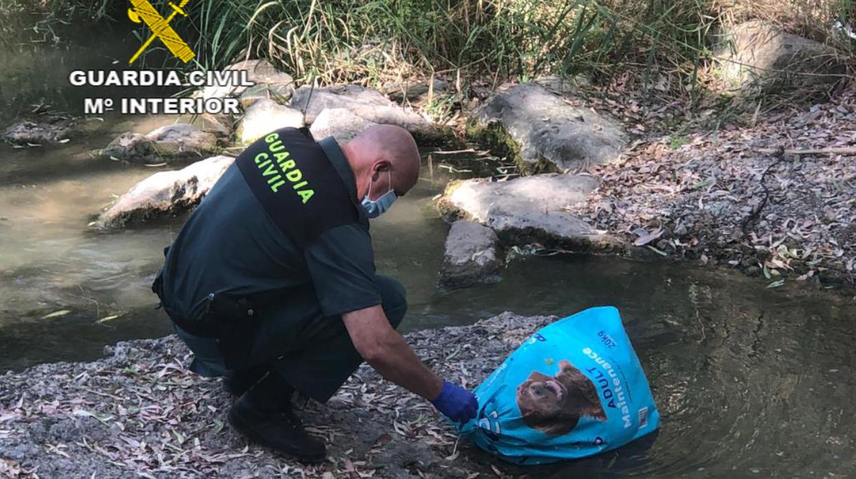 Uno de los agentes con el saco en el que fueron encontrados los perros