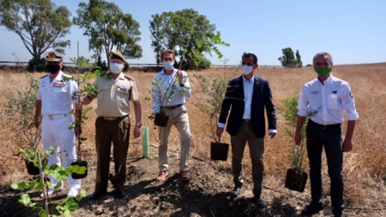 La Fundación Iberdrola España reforesta el Campo de Adiestramiento de la Sierra del Retín en Barbate