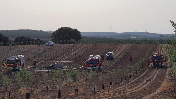 Un «narcohelicóptero» se estrella en un olivar de Pedrera y mueren sus dos ocupantes