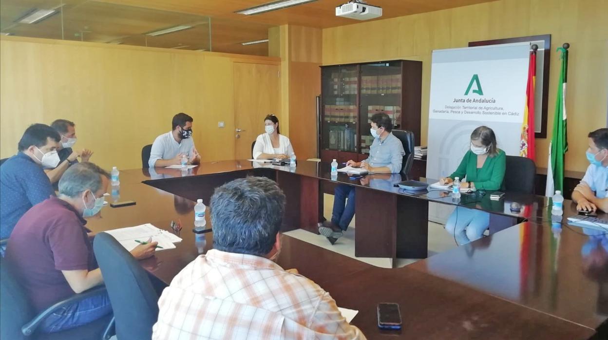 La Junta trabaja en desbloquear el proyecto All-Gas en Chiclana