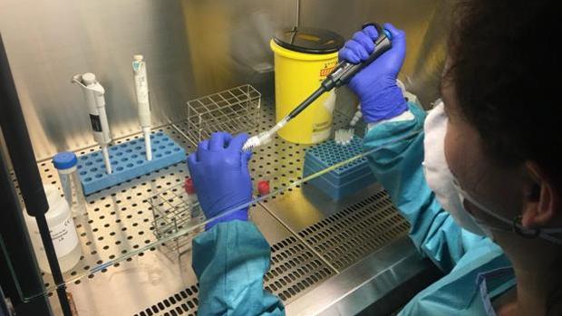 Coronavirus Cádiz: registrados dos nuevos positivos en las últimas 24 horas