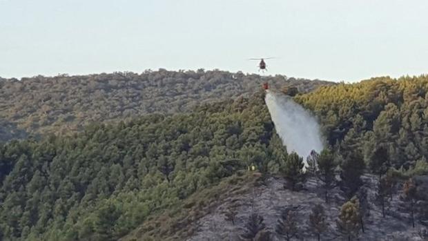 El incendio en Olvera permanece activo aunque con evolución favorable