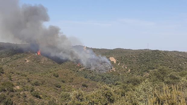 Declarado un incendio forestal en un paraje de Aznalcóllar