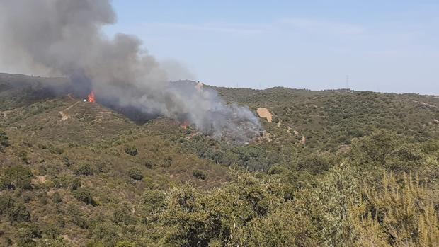 Estabilizado el incendio que afecta a un paraje de Aznalcóllar