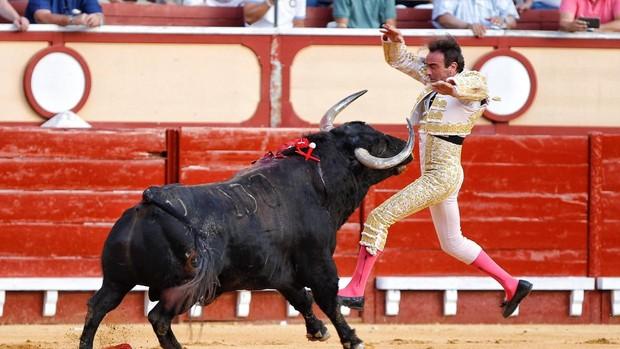 Toros en El Puerto: Ponce, Morante y Aguado mostraron destellos de buen toreo ante un flojo encierro de Juan Pedro Domecq