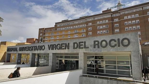 La Junta confirma doce casos positivos por el virus del Nilo y se elevan ya a siete los pacientes en la UCI