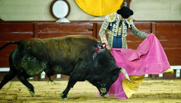 Abren expediente a la empresa responsable de la corrida de toros de El Puerto