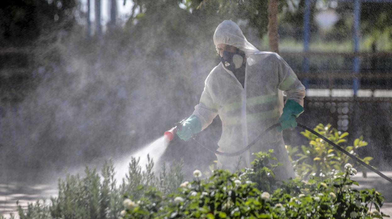 Fumigación de una zona verde de Coria del Río