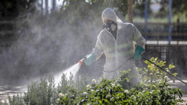 Aumentan los hospitalizados por el virus del Nilo hasta los 26, uno más en la UCI