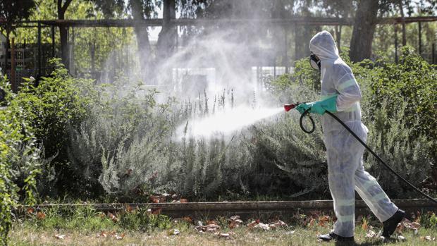 Suben a 35 los casos asociados al virus del Nilo, con 33 hospitalizados, 7 en la UCI