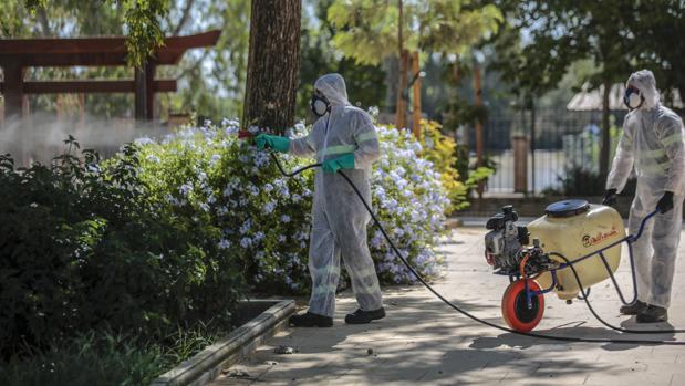 Un vecino de La Puebla del Río de 77 años, primera víctima mortal por el virus del Nilo