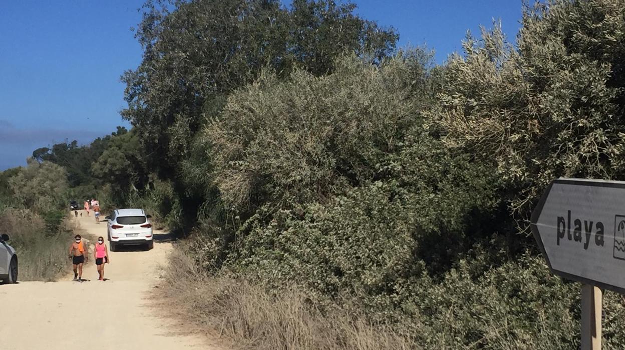 Imagen de los carriles de acceso a la playa de Mangueta antes de llegar al cauce del arroyo