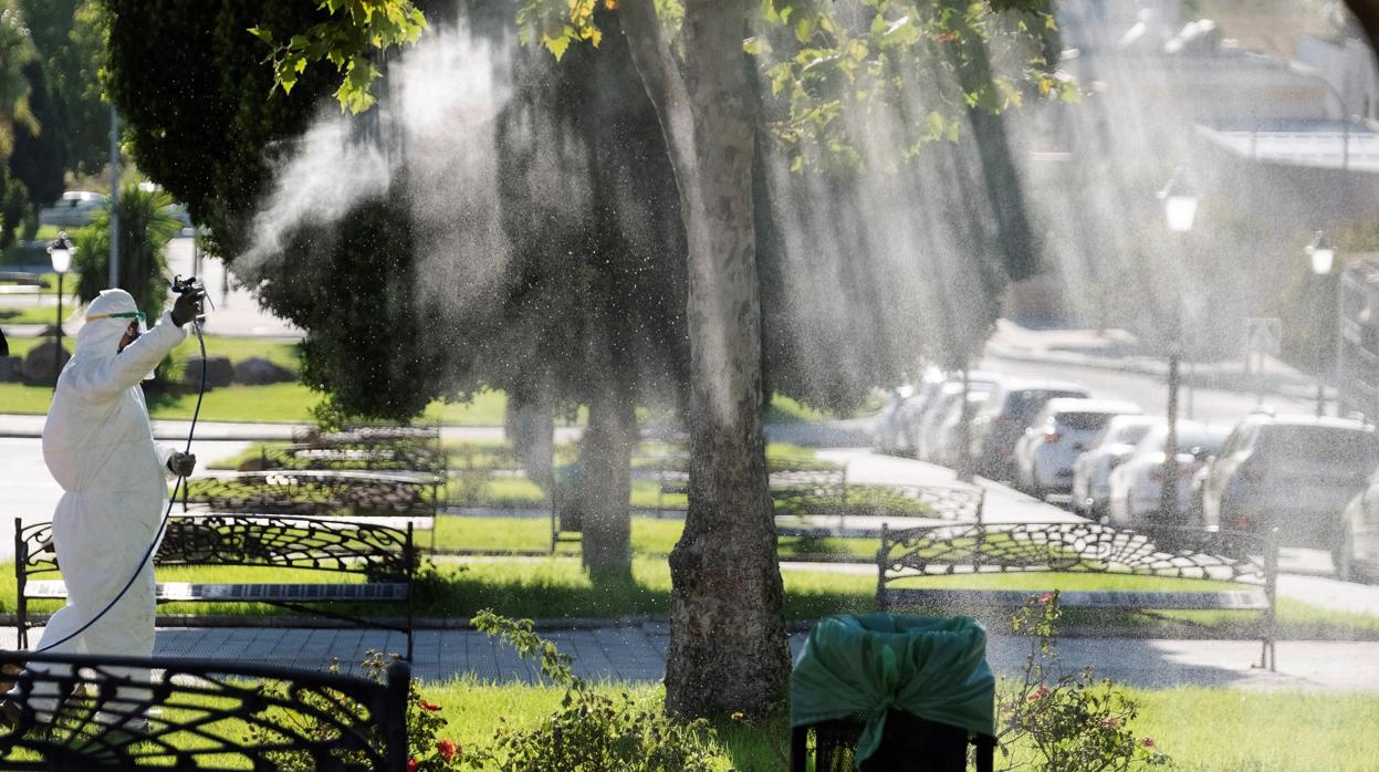 Un operario fumiga unos jardines en La Puebla del Río en un intento del Ayuntamiento por detener al virus del Nilo, que está atemorizando a los vecinos de Coria y Puebla del Río.