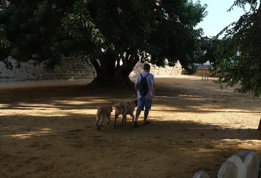 Parque para perros en Cádiz.