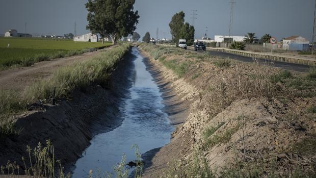 La Junta realiza un mapeo de aguas estancadas para fumigar al mosquito causante del virus del Nilo