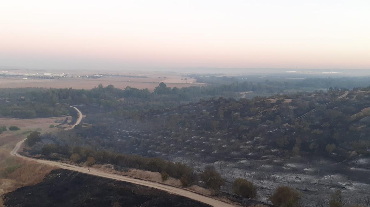 Vista aérea del terreno afectado por el incendio forestal de Benacazón