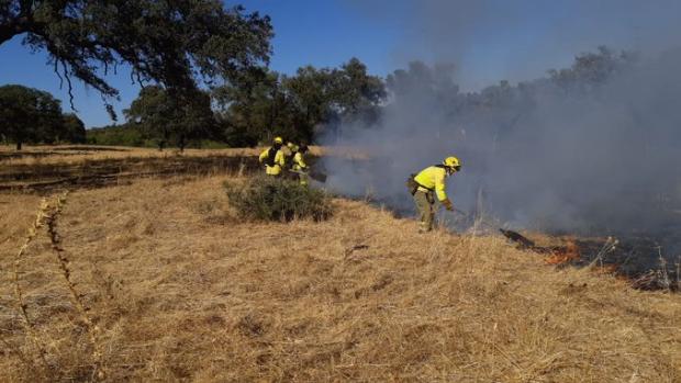 Incendio forestal en Guillena: el Infoca da como estabilizado el fuego